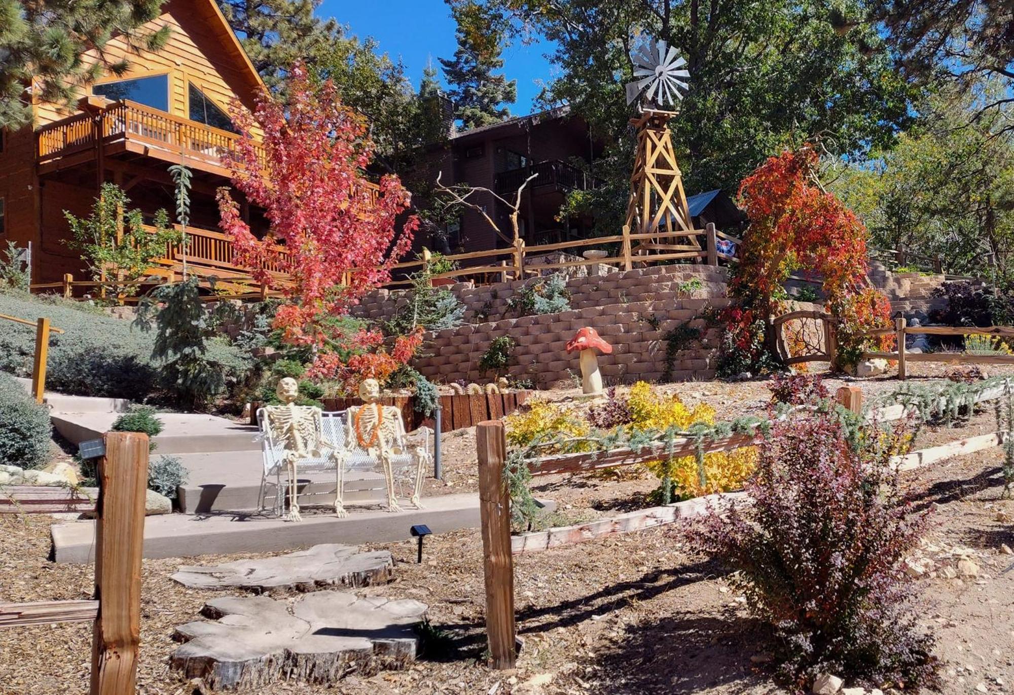 Snow Bunny Cottage, Pets Welcomed! Green Valley Lake المظهر الخارجي الصورة