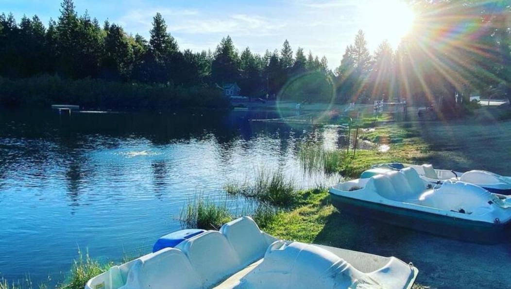 Snow Bunny Cottage, Pets Welcomed! Green Valley Lake المظهر الخارجي الصورة