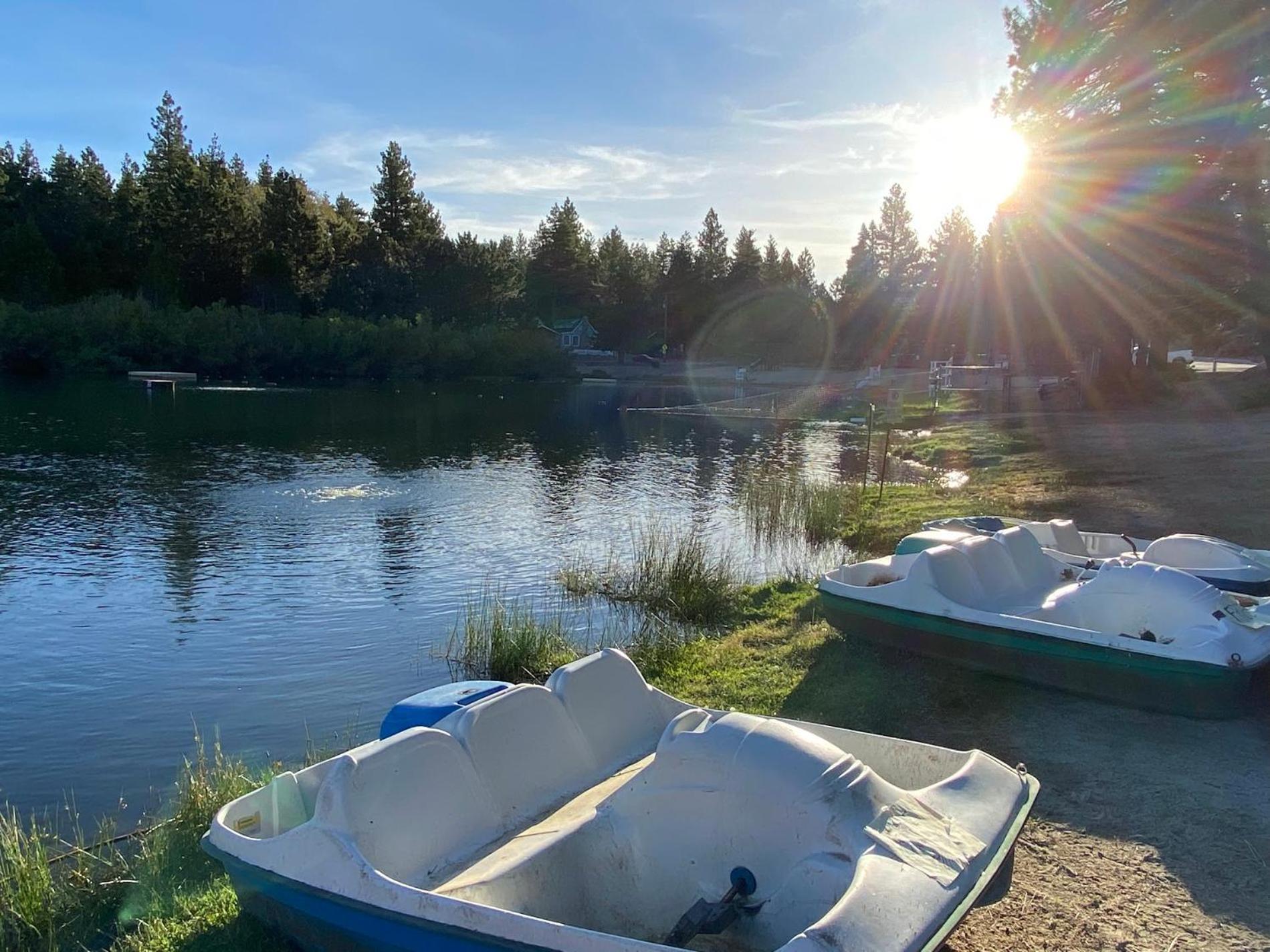 Snow Bunny Cottage, Pets Welcomed! Green Valley Lake المظهر الخارجي الصورة